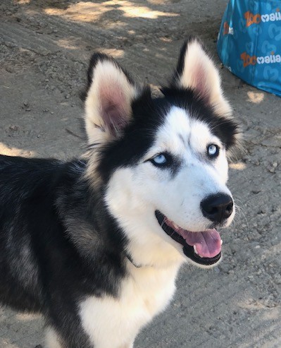 luna tete